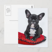 Bulldog Puppy Briefkaart (Voorkant / Achterkant)