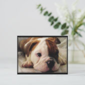 Bulldog puppy briefkaart (Staand voorkant)