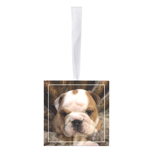 Bulldog Puppy Dog 3 Foto Collage Decoratie (Rechts)