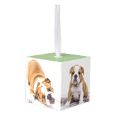 Bulldog Puppy Dog 3 Foto Collage Decoratie (Achter hoekig)
