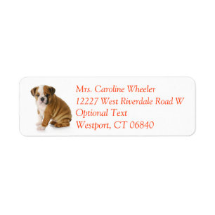 Bulldog Puppy Dog Return Address Label