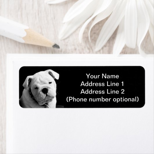 Bulldog puppy etiket (Insitu)