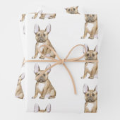 Bulldog puppy french inpakpapier vel (In situ)