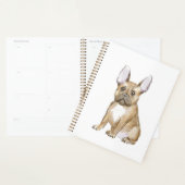 Bulldog puppy french planner (Display)