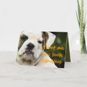 Bulldog puppy grappig ouder worden verjaardagskaar kaart (Voorkant)