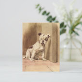  Bulldog Puppy Illustratie Briefkaart (Staand voorkant)