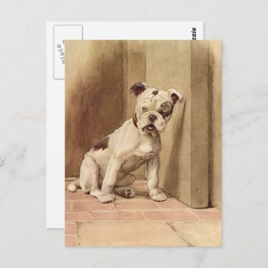  Bulldog Puppy Illustratie Briefkaart (Voorkant / Achterkant)