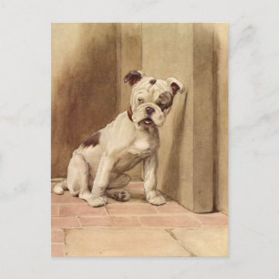  Bulldog Puppy Illustratie Briefkaart