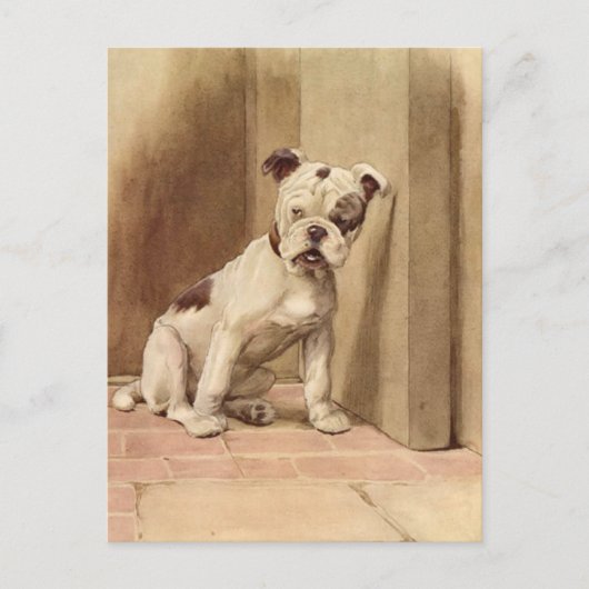  Bulldog Puppy Illustratie Briefkaart (Voorkant)
