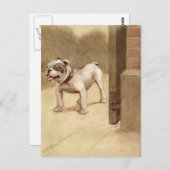 Bulldog Puppy Illustratie Briefkaart (Voorkant / Achterkant)