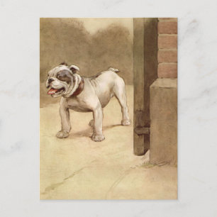  Bulldog Puppy Illustratie Briefkaart