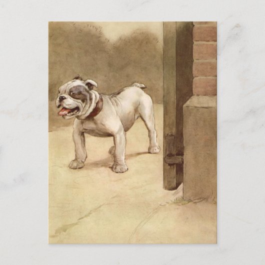 Bulldog Puppy Illustratie Briefkaart (Voorkant)