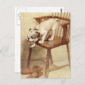  Bulldog Puppy Illustratie Briefkaart (Voorkant / Achterkant)