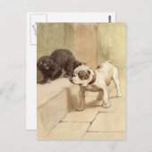  Bulldog Puppy Illustratie Briefkaart (Voorkant / Achterkant)