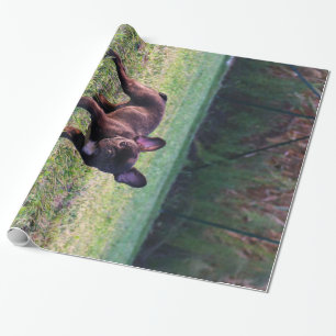 Bulldog puppy in gras foto Schattigee bulldog lief Cadeaupapier