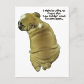 Bulldog Puppy Love Handles and Bacon Briefkaart (Voorkant)