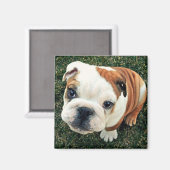 Bulldog Puppy Magneet (Voorkant / Achterkant)