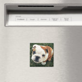 Bulldog Puppy Magneet (Insitu (Vaatwasser))
