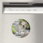 Bulldog Puppy Magnet Waterval (Insitu (Vaatwasser))