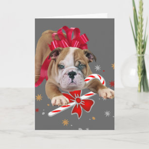 Bulldog puppy met rode boogkerstkaart feestdagen kaart
