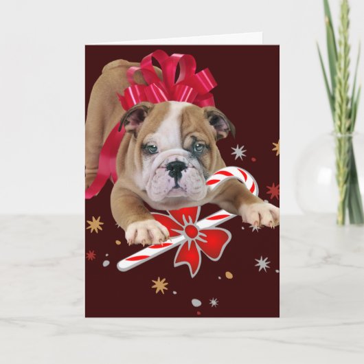 Bulldog puppy met rode strik en snoepriet feestdagen kaart (Voorkant)