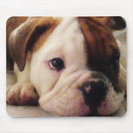 Bulldog puppy muismat (Voorkant)