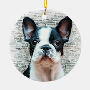 Bulldog puppy Ornament