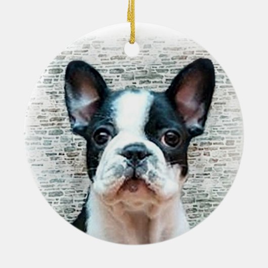 Bulldog puppy Ornament (Achterkant)