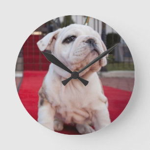 Bulldog Puppy Ronde Klok