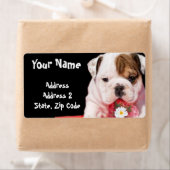 Bulldog puppy shipping Labels (Insitu)