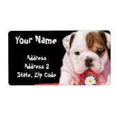 Bulldog puppy shipping Labels (Voorkant)