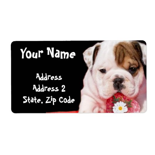 Bulldog puppy shipping Labels (Voorkant)