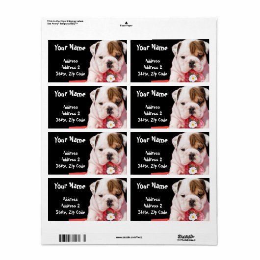 Bulldog puppy shipping Labels (Full Sheet)