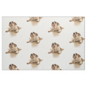 Bulldog puppy stof (Fat Quarter)