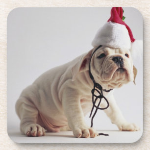 Bulldog Puppy Wearing Santa Hat Bier Onderzetter
