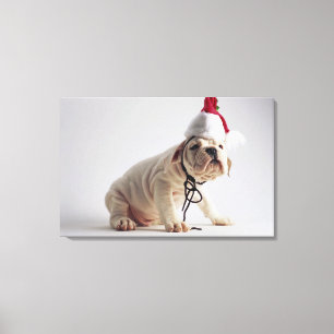 Bulldog Puppy Wearing Santa Hat Canvas Afdruk