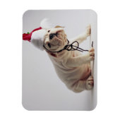 Bulldog Puppy Wearing Santa Hat Magneet (Verticaal)