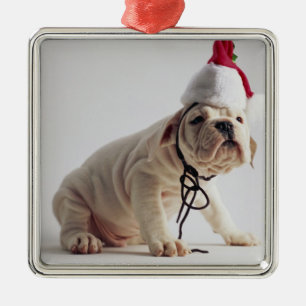Bulldog Puppy Wearing Santa Hat Metalen Ornament
