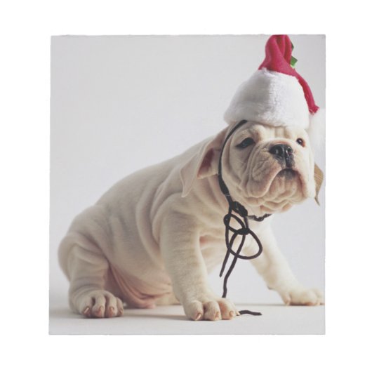 Bulldog Puppy Wearing Santa Hat Notitieblok (Voorkant)