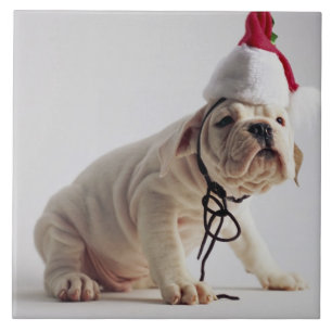 Bulldog Puppy Wearing Santa Hat Tegeltje