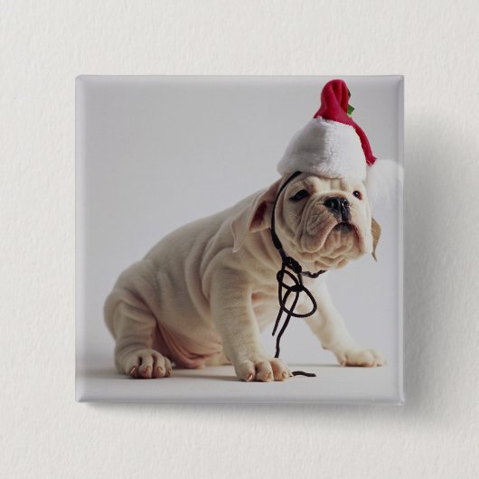 Bulldog Puppy Wearing Santa Hat Vierkante Button 5,1 Cm (Voorkant)