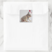 Bulldog Puppy Wearing Santa Hat Vierkante Sticker (Tas)