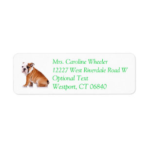 Bulldog Puppylabel met retouradres en naam Etiket