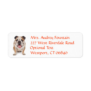 Bulldog Puppylabel met retouradres en naam Etiket