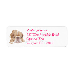 Bulldog Puppylabel met retouradres en naam Etiket
