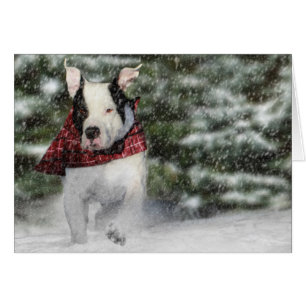 Bulldog Rescue Pup Dashing through the Snow