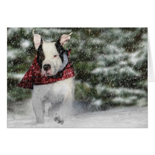Bulldog Rescue Pup Dashing through the Snow (Voorkant Horizontaal)