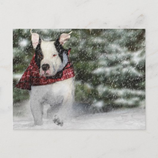 Bulldog Rescue Pup Dashing through the Snow Briefkaart (Voorkant)