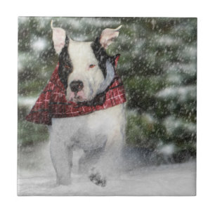 Bulldog Rescue Pup Dashing through the Snow Tegeltje