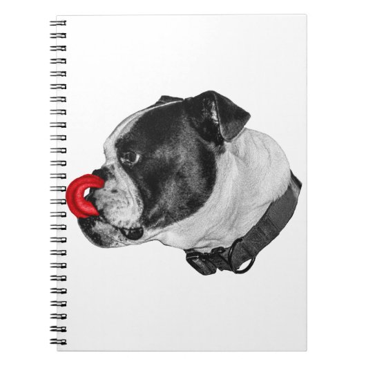 Bulldog Rode Accentnotities Notitieboek (Voorkant)